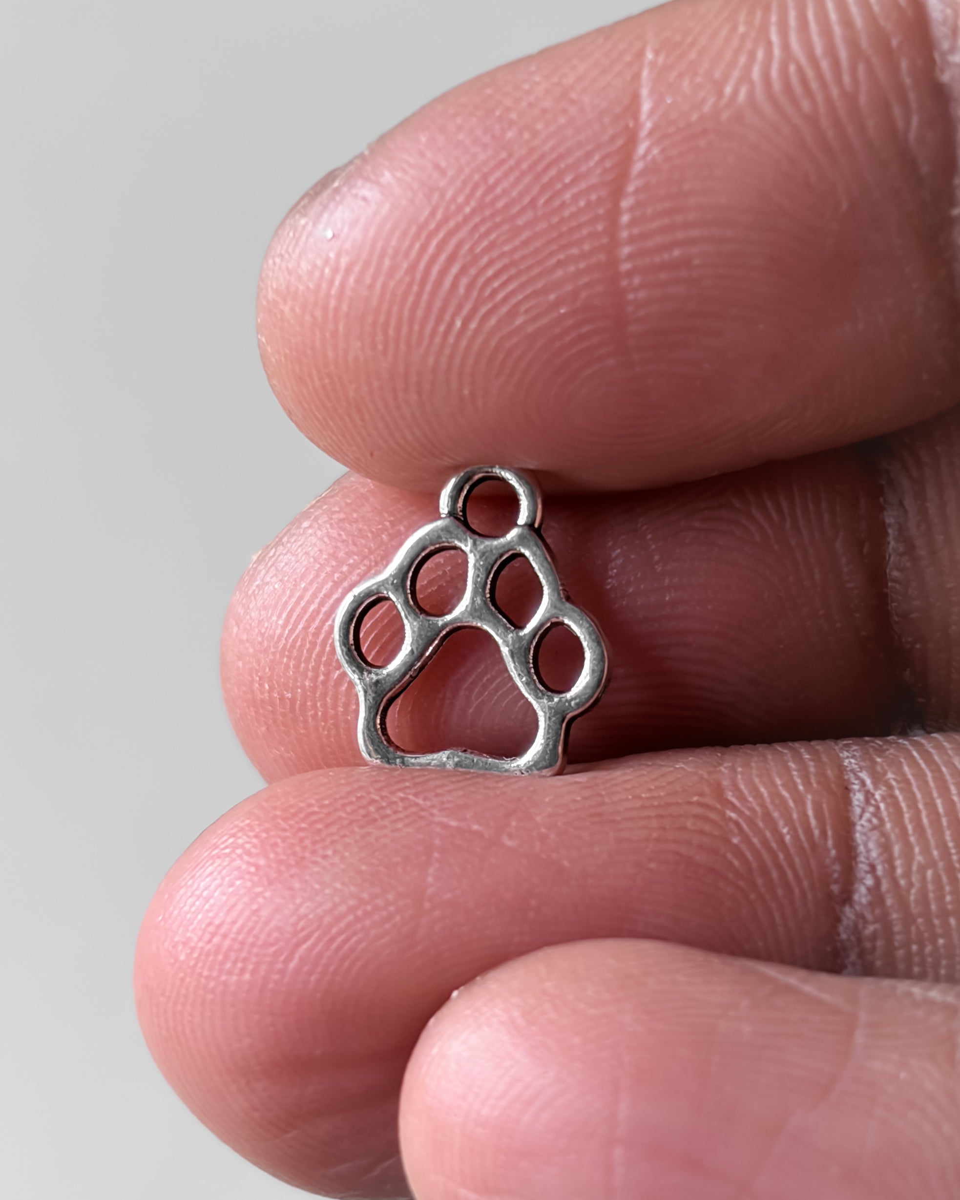 Chota Paw charm - 10 pc