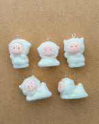 5 pc Mix fur charm