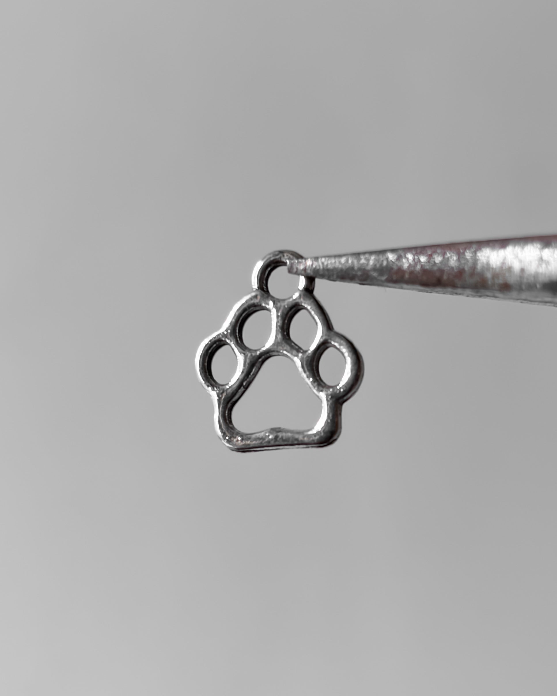Chota Paw charm - 10 pc
