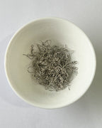 Iron Ear Hook - Trendy Metallic Vibes