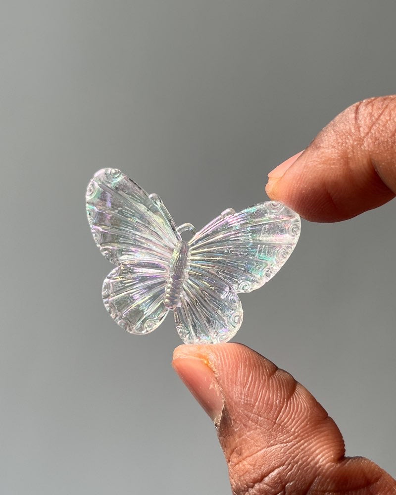 White  Butterfly | Pack of 10 pc