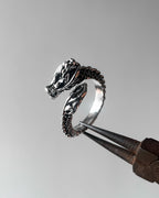 5 pc Dragon ring