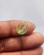 Green shell beads - 25 grams