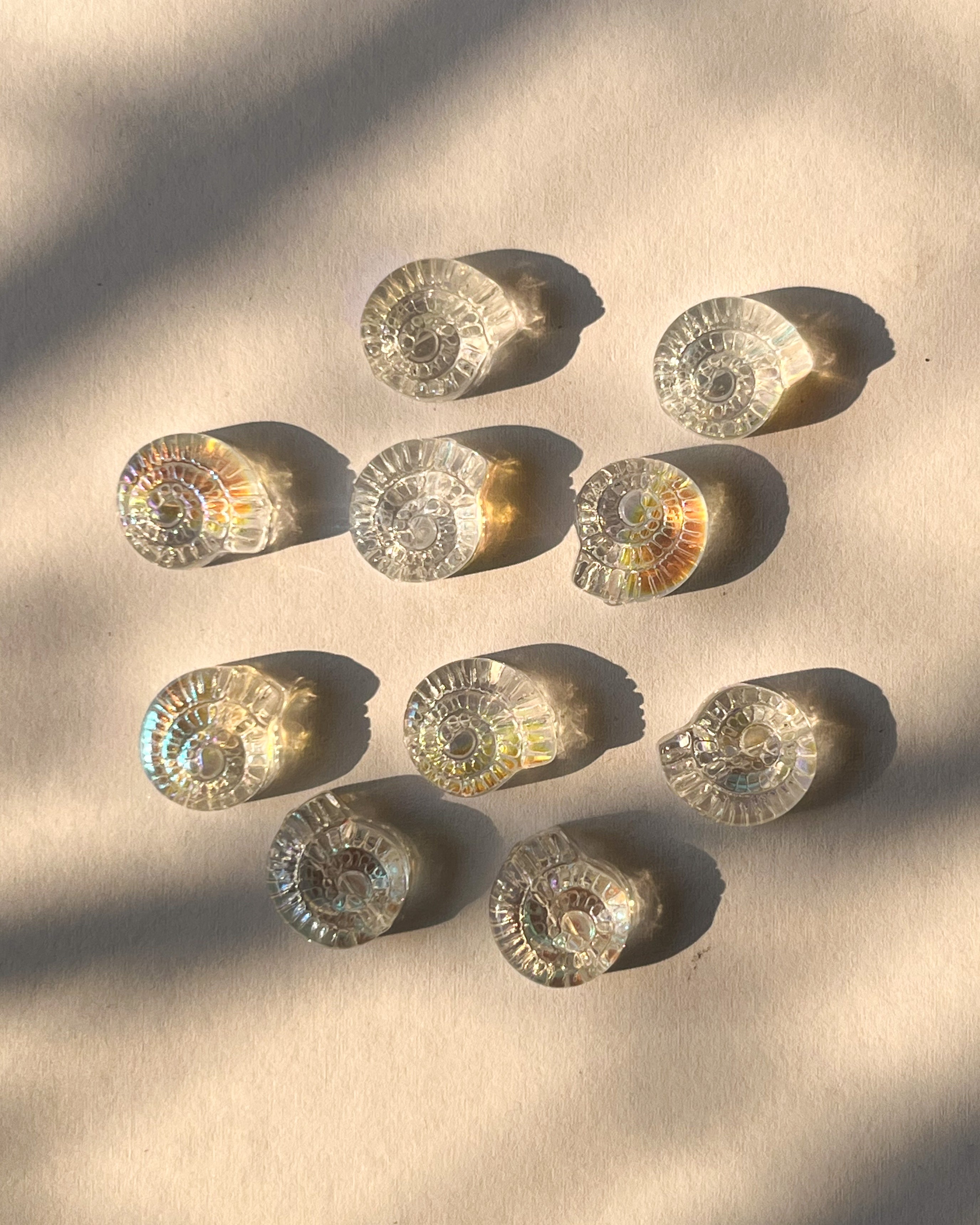 Shell glass Beads // 10 pc