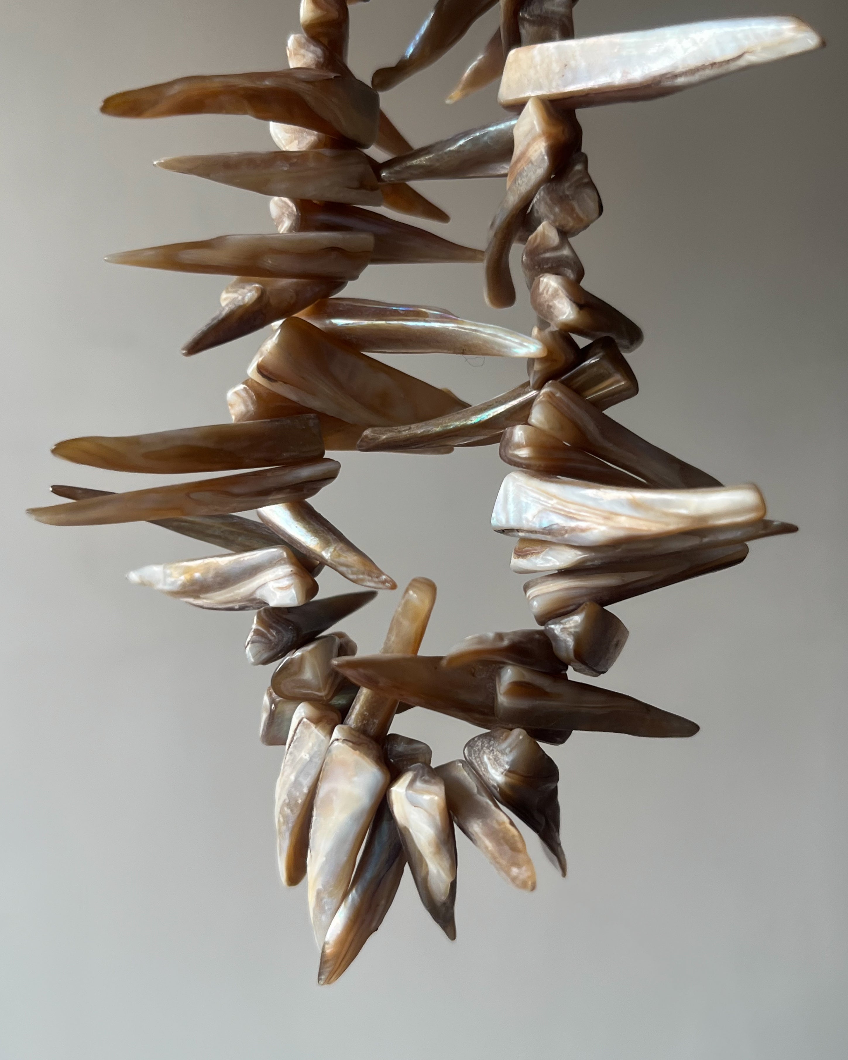 Shell Pearl spikes - 1 line