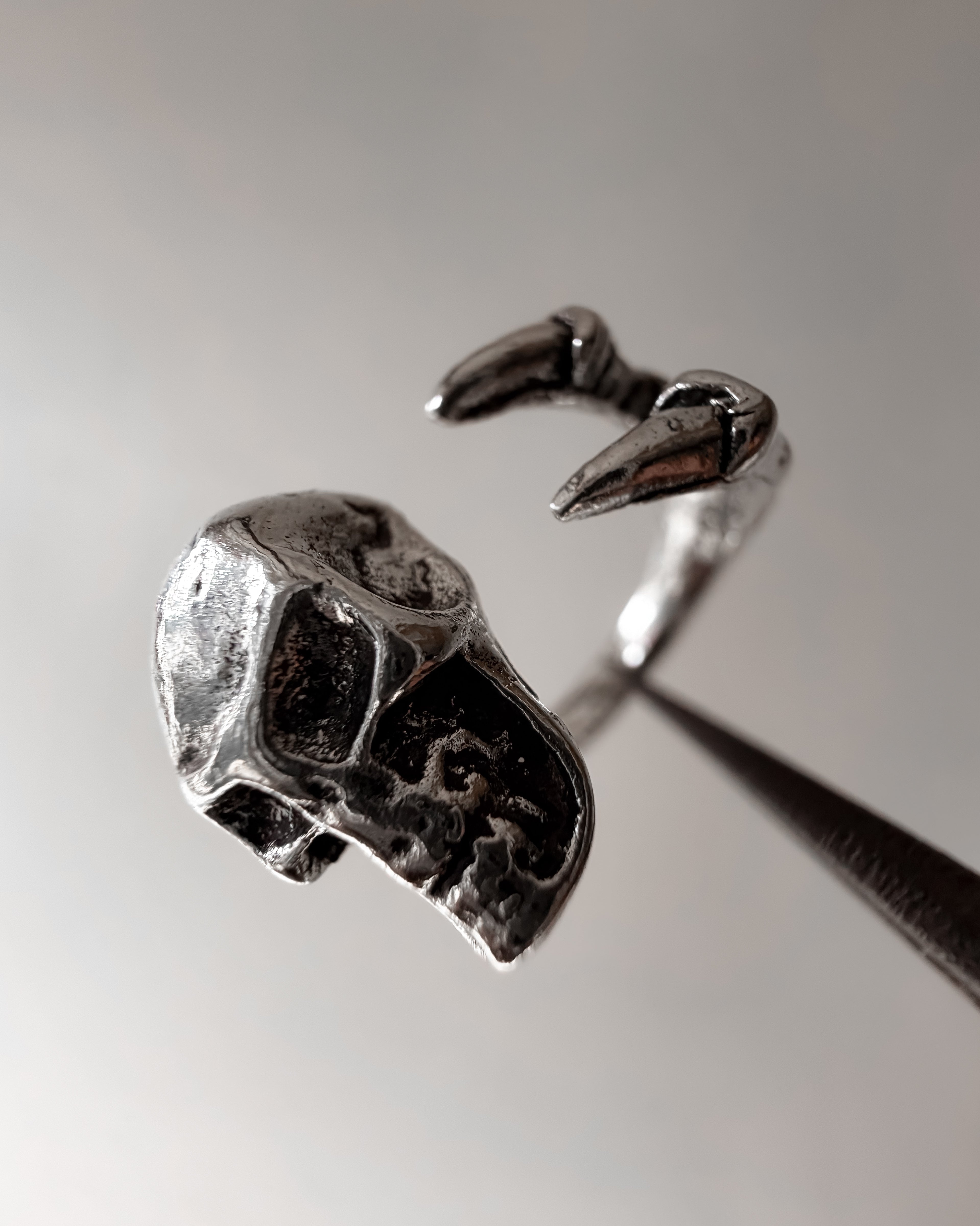 Skull claw ring - 5 pc