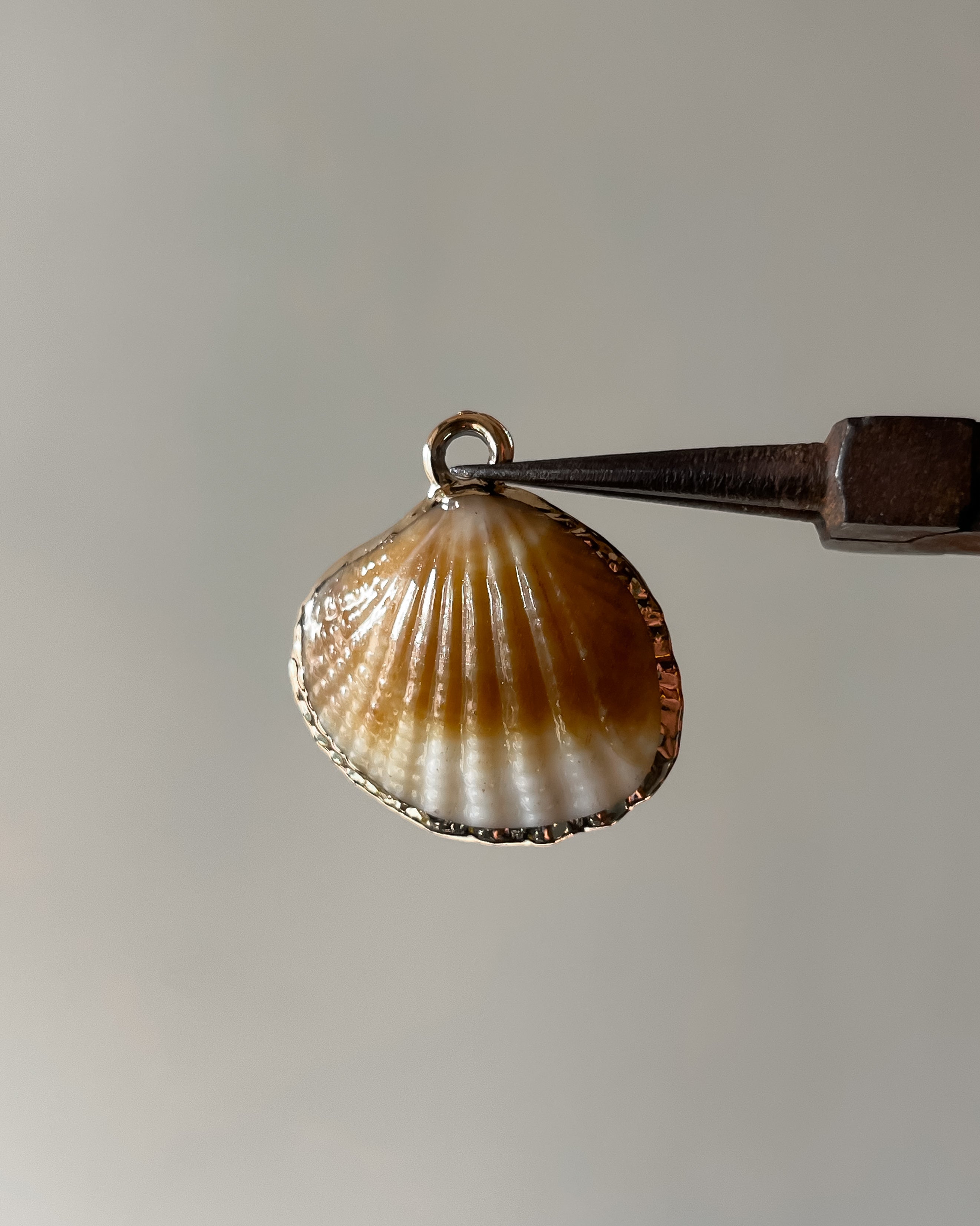 2.0 Shell charm (artificial)- 1 pc