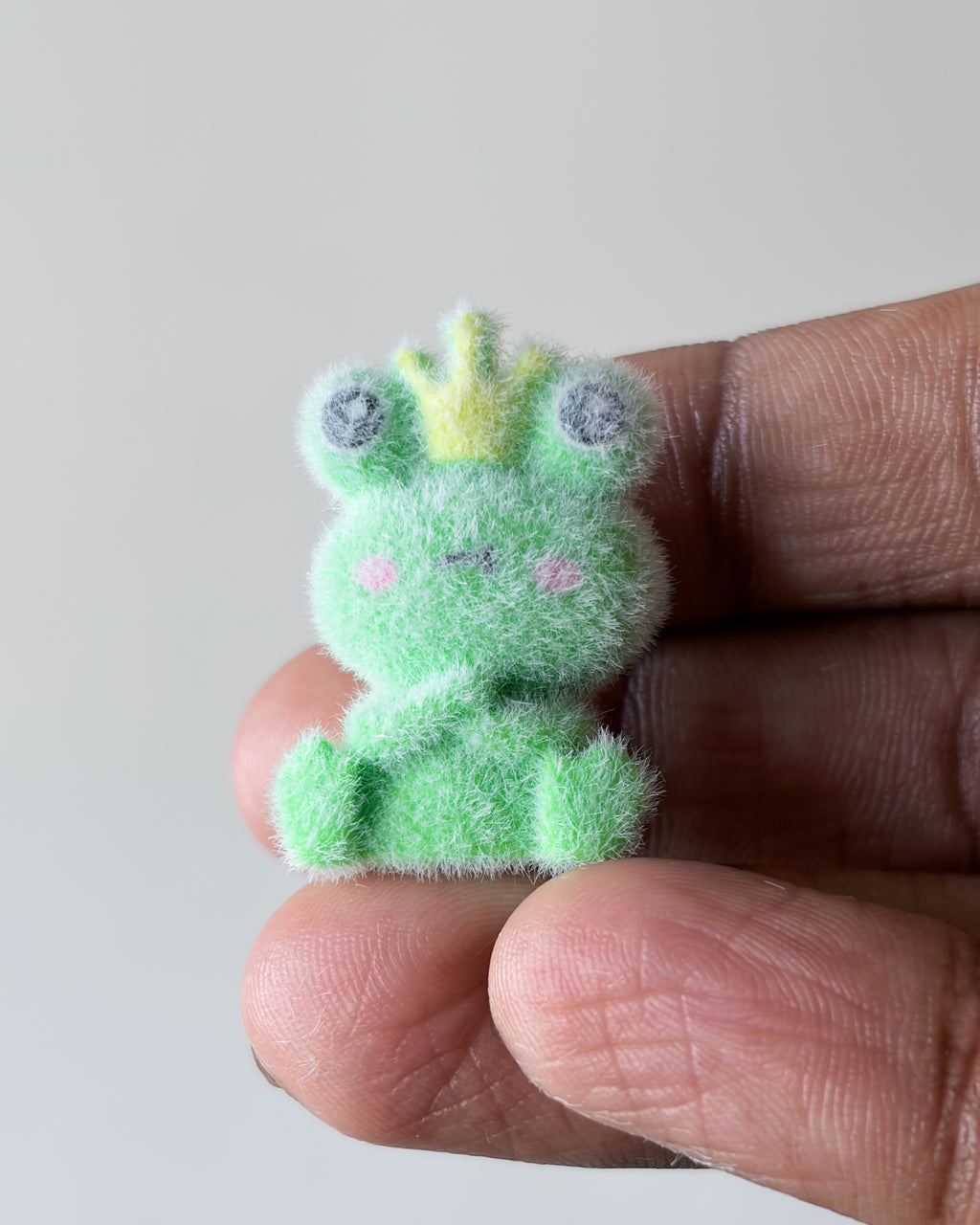 5 pc Mix fur charm