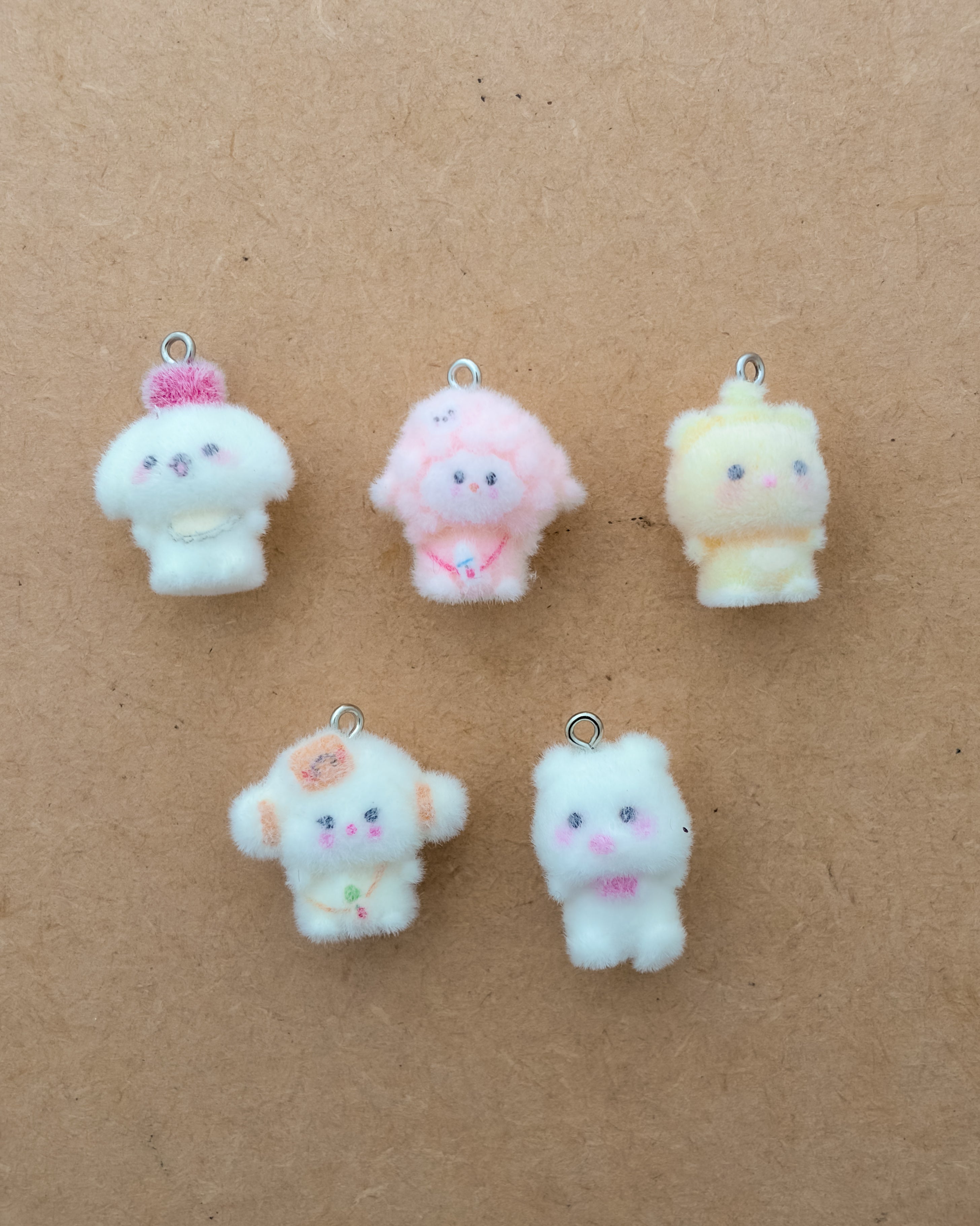 5 pc Mix fur charm