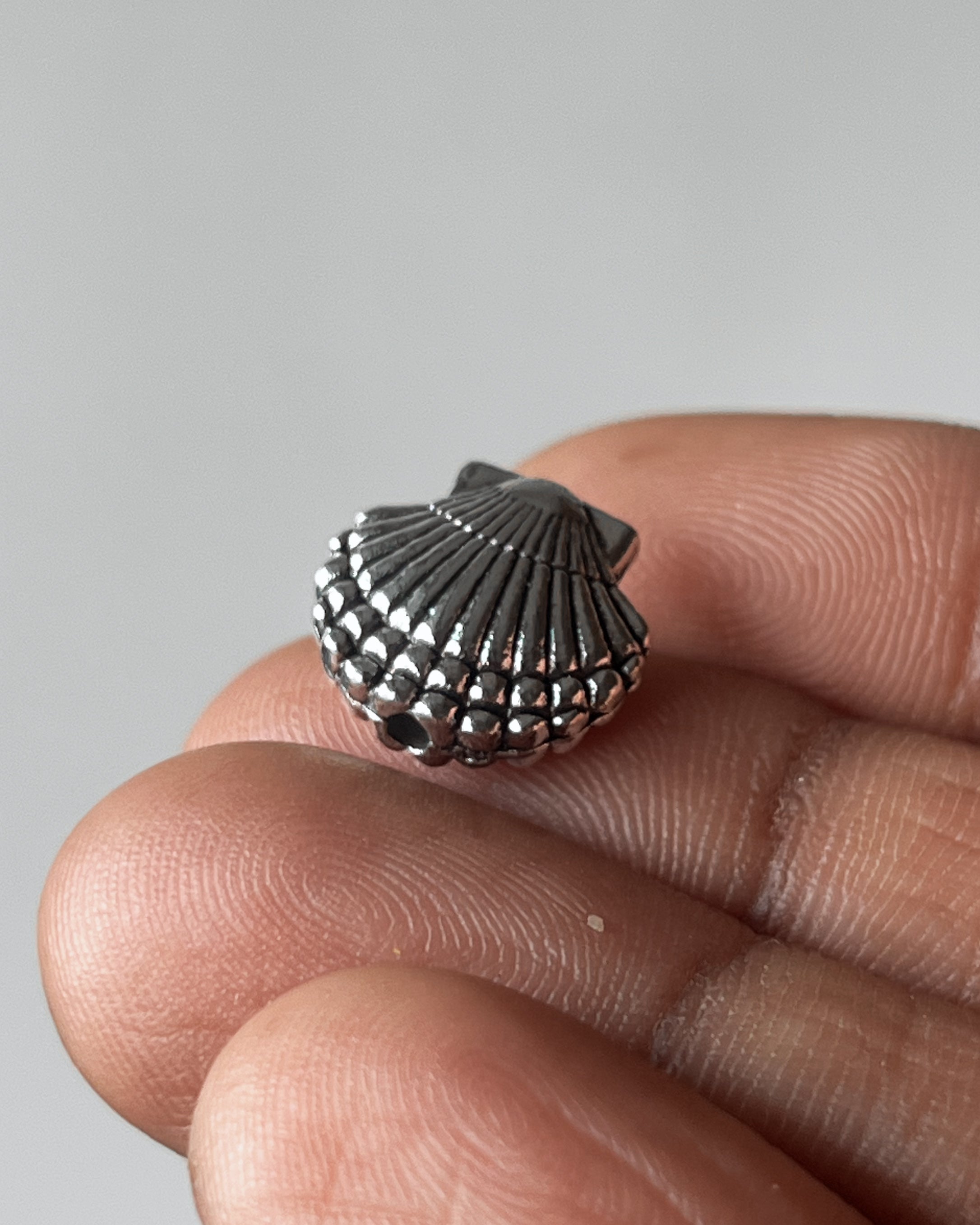 Shell slider - 10 pc