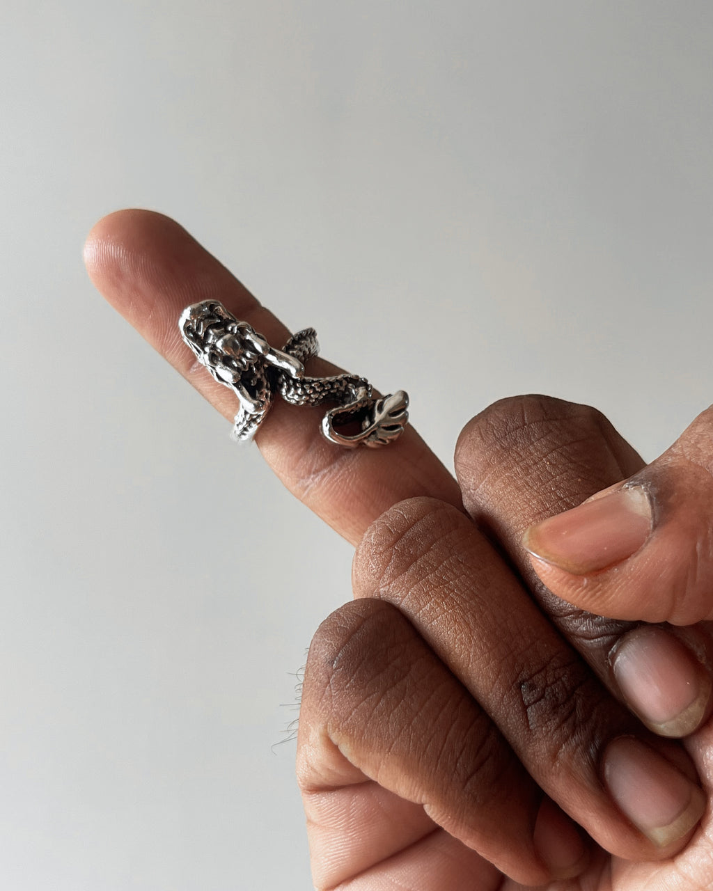 Dragon ring - 5 pc