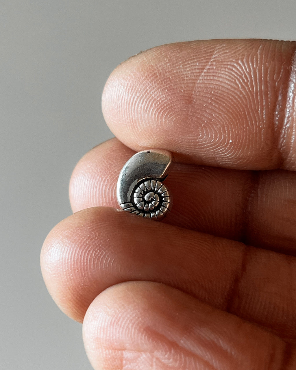 Shell slider - 10 pc