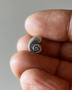 Shell slider - 10 pc