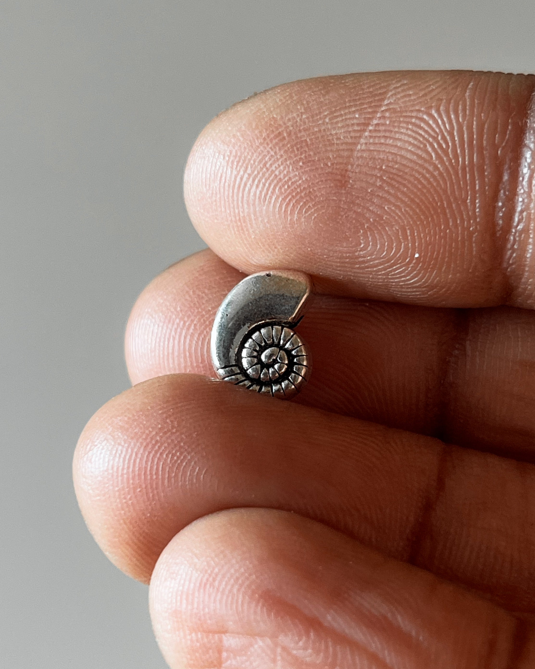 Shell slider - 10 pc