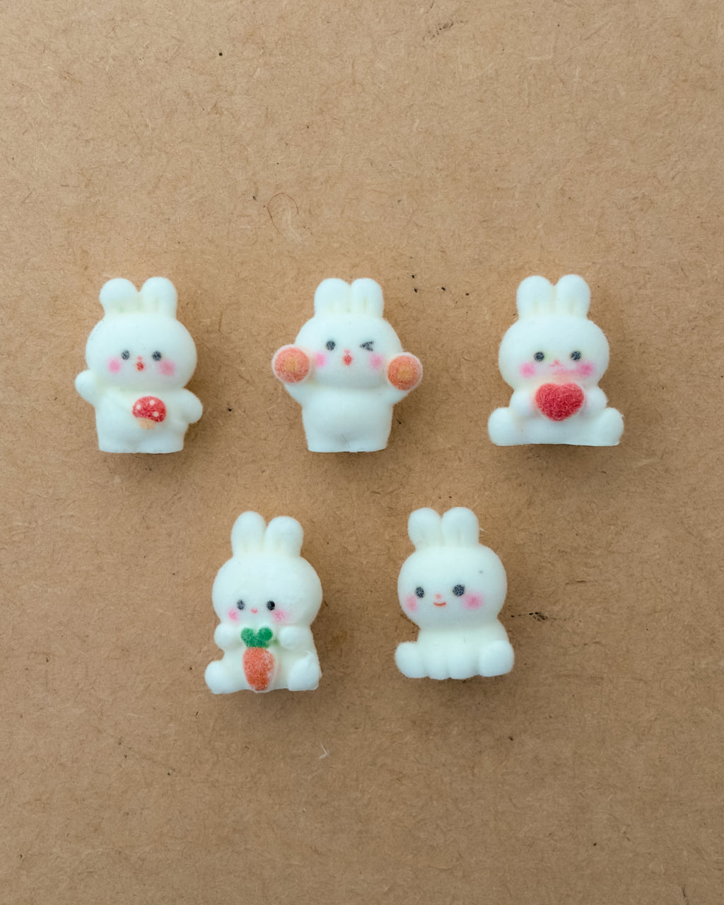 5 pc Mix fur charm