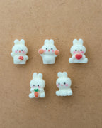 5 pc Mix fur charm