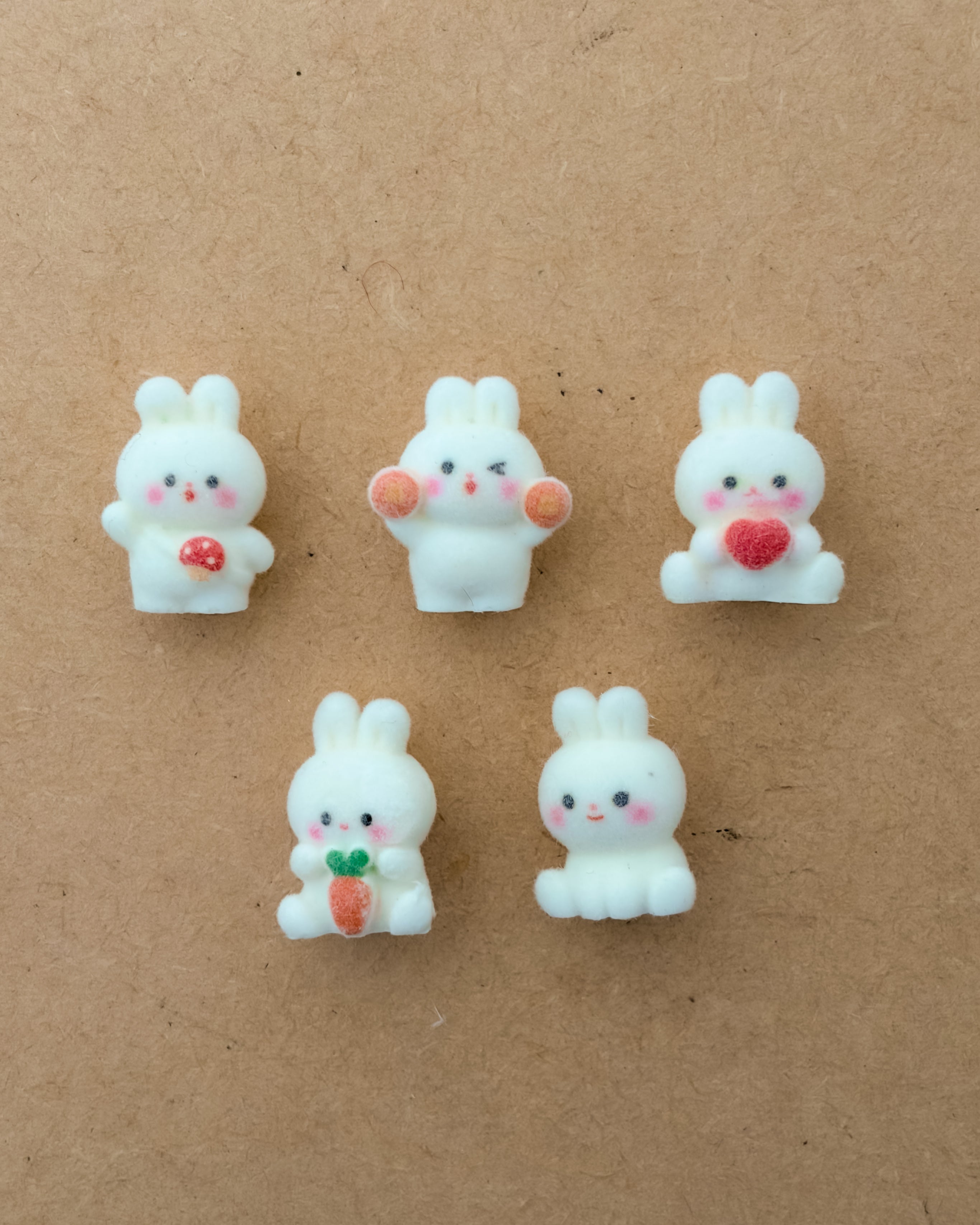 5 pc Mix fur charm